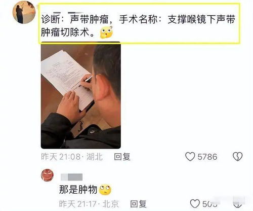 博主称上门打假东北雨姐被殴打，真相背后的反思与启示