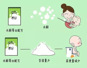 如何选择适合宝宝的水解蛋白奶粉，专业视角下的全面解析