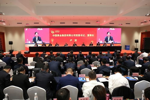 卢进被查，中国黄金集团的震荡与反思