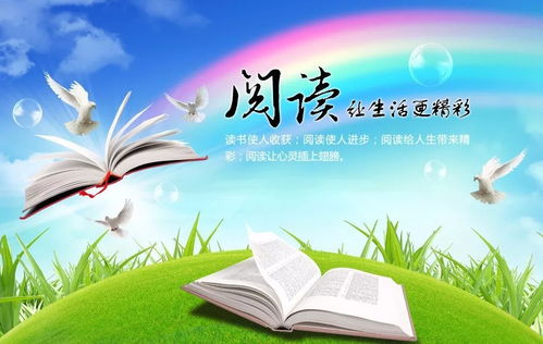 幼儿园教师教育心得，播种爱与智慧的种子