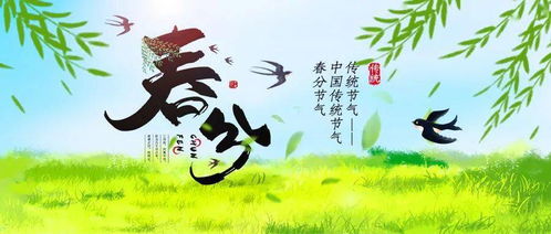 春分时节，以诗意的眼光迎接平衡之美
