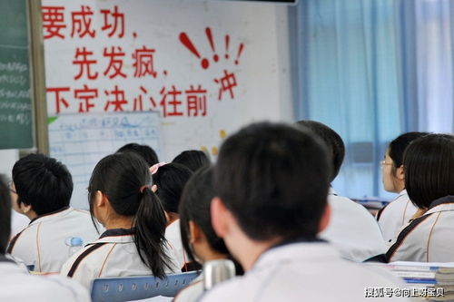 育儿专家视角下的高考分数与孩子成长