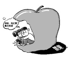 怀孕男孩的初期症状，科学与迷信之间的探讨