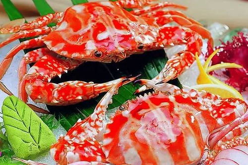 从餐桌到育儿，以烹饪海蟹为例，探讨如何培养孩子的实践与探索精神