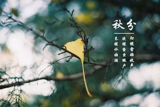 秋分时节的育儿指南