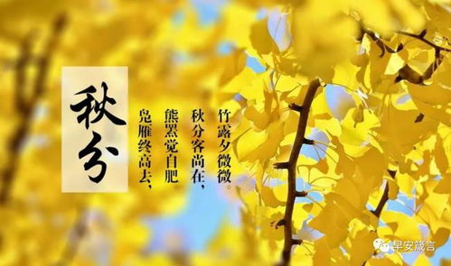 秋分时节的育儿指南