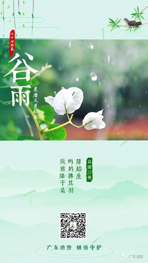 谷雨，春日的恩赐与育儿智慧