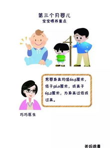 三个月宝宝的成长与护理指南