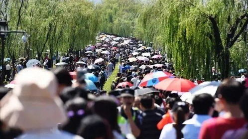 国庆假期出行路上的显眼包们