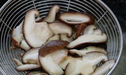 如何让孩子们爱上吃香菇——营养与趣味并存的香菇烹饪方法