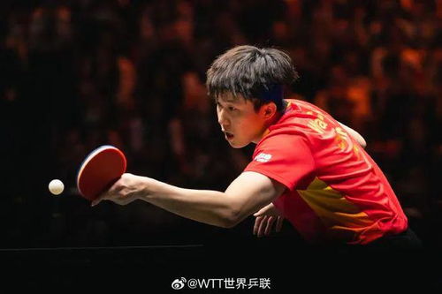 爆冷！王楚钦止步中国大满贯32强