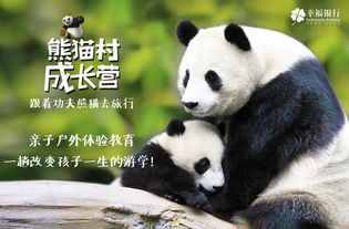 如何在家庭教育中运用功夫熊猫的积极元素