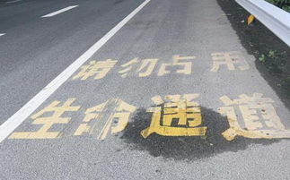 违规走应急车道，司机被罚三千扣六分