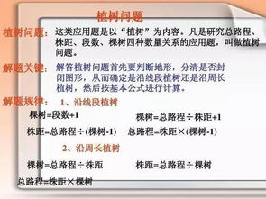 小学一年级应用题解析与指导