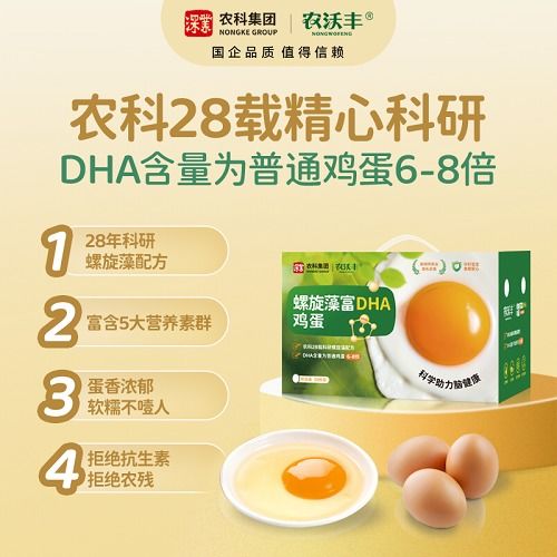 DHA与孕期营养，全面解析与实用指南
