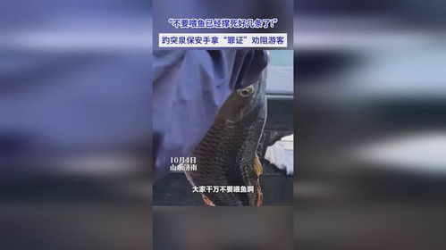 趵突泉保安劝阻喂鱼，撑死好几条了