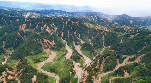 专家解读哀牢山为何成为禁区