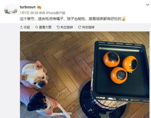 育儿专家视角下的亲子烹饪时光，以凤尾鱼为例