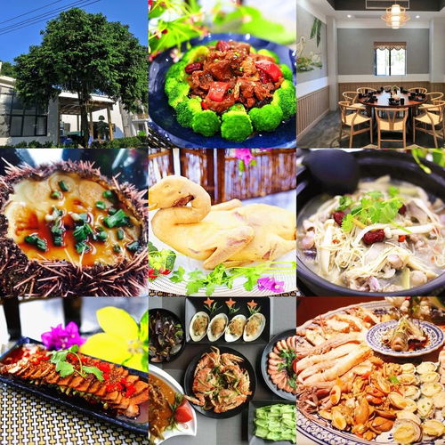 育儿专家视角下的亲子烹饪体验——以海胆为例