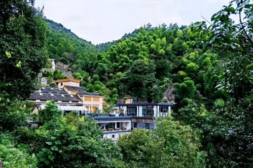 民宿老板回应哀牢山爆火，理性看待，安全至上