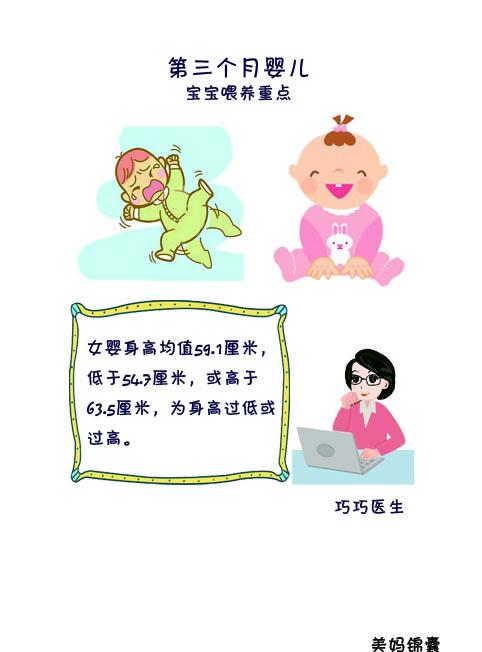 三个月婴儿的护理与成长指南