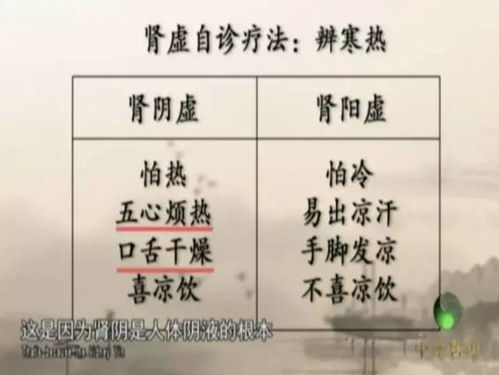 肾阴虚在儿童中的表现与调养策略