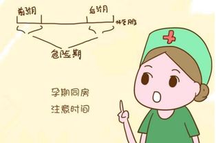 怀孕早期注意事项，迎接新生命的温柔指南