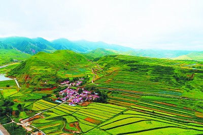 时习之，一片盐碱地的绿色蝶变——生态修复与可持续发展的生动实践