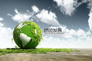 时习之，一片盐碱地的绿色蝶变——生态修复与可持续发展的生动实践