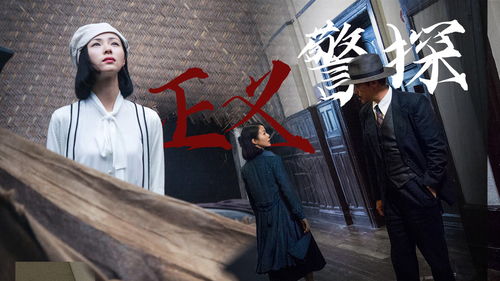 两个月后，正义之光照亮阴霾，日本警方成功缉捕伤害中国游客凶手