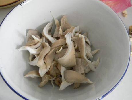 家庭健康助手，以营养角度解读杏鲍菇的多种做法