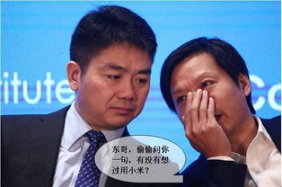 假雷军七天骂翻全网，谁之过？