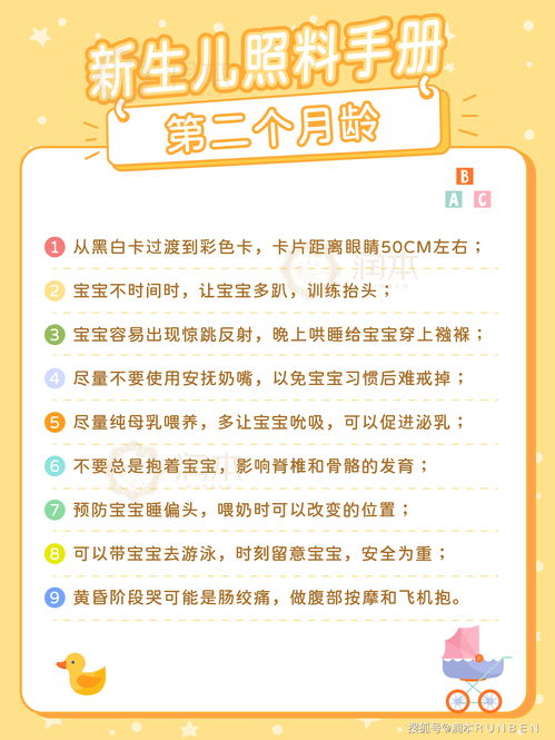 全面指南，如何照料2个月大的宝宝