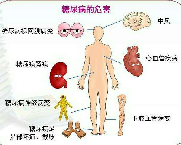 脂肪肝的症状与儿童健康的关联