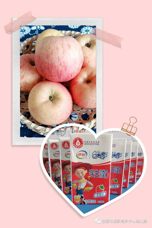 幼儿园一周营养均衡食谱设计