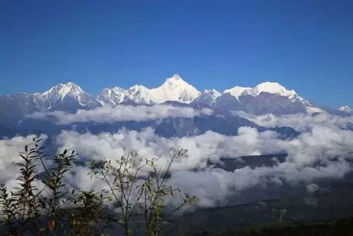 哀牢山秘境之旅，鸟鸣如人语的科考奇遇