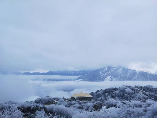 哀牢山秘境之旅，鸟鸣如人语的科考奇遇