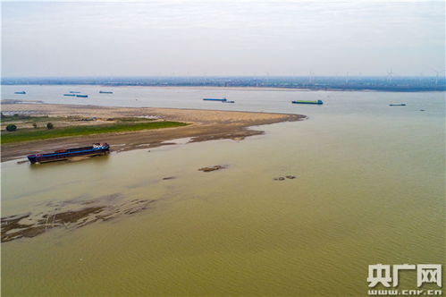江西鄱阳湖跌破极枯水位，生态挑战与应对之策