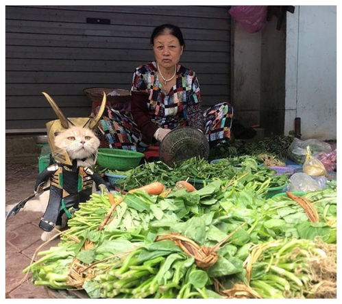 爱的重量，孙子大婚时，奶奶卖菜攒下的万元情深