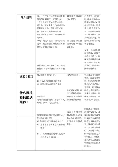 幼儿园教学计划设计，培养未来的探索者