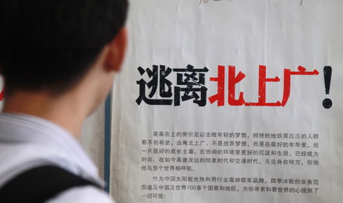 揭秘听泉鉴宝学历之谜，北大校友否认其毕业身份