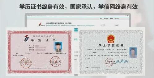 揭秘听泉鉴宝学历之谜，北大校友否认其毕业身份