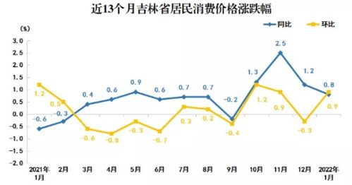 9月居民消费价格温和上涨0.4%，透视经济稳定与民生保障新态势