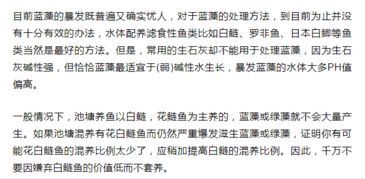 12死7伤翻船事故报告，责任追究与深刻反思