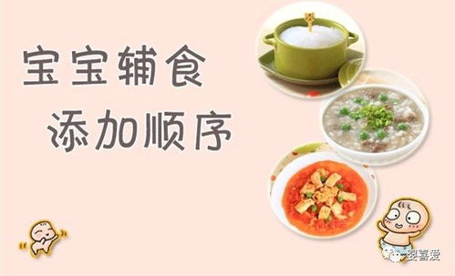 婴儿辅食添加指南，如何科学地为宝宝引入新食物