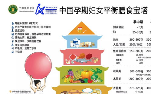 婴儿辅食添加指南，如何科学地为宝宝引入新食物