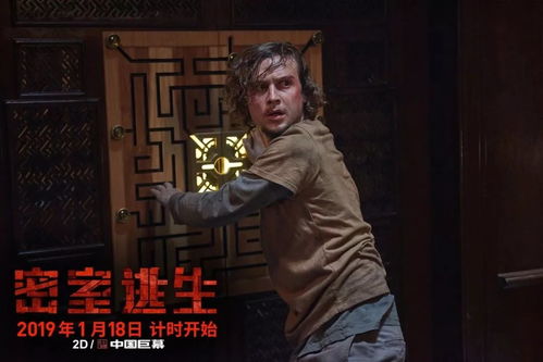 夜幕下的惊魂一刻，男子夜爬探险不慎遭蛇咬，生死边缘的坚韧求生
