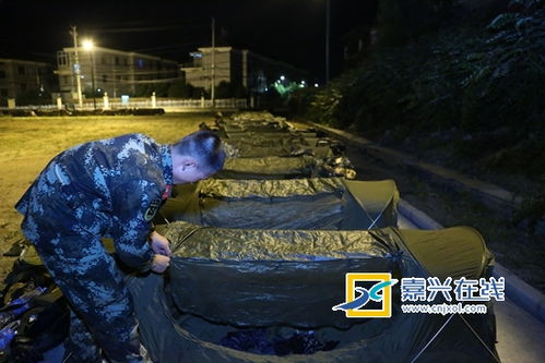 夜幕下的惊魂一刻，男子夜爬探险不慎遭蛇咬，生死边缘的坚韧求生