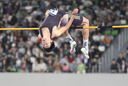 飞跃梦想的高度——记初三男生校运会跳高1.91米的辉煌瞬间