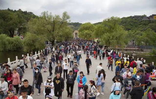 中国游客海外高喊英文口号引热议，文化交融与旅游文明的新篇章